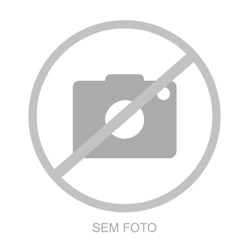CAMINHAO IVECO STRALIS 400